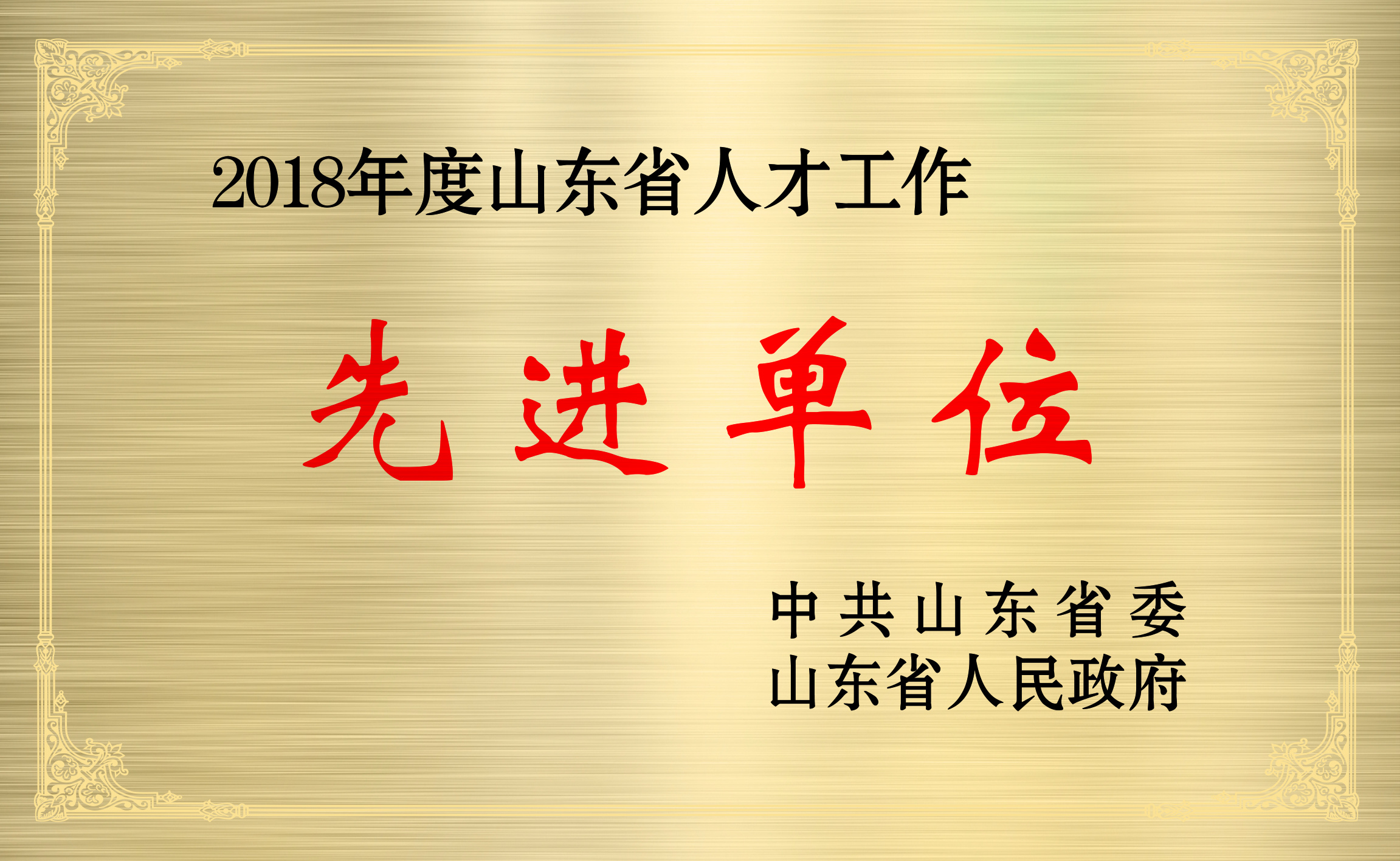 山东省人才工作先进单位